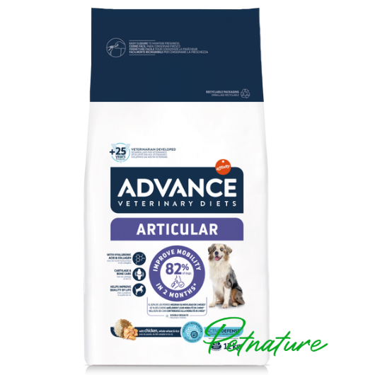 Advance Articular Dog