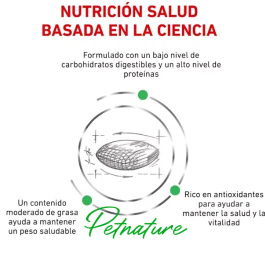 Royal Canin Feline Diabetic