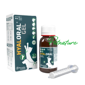 Hyaloral Gel 50 ml