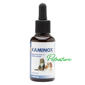 Kaminox 60 ml
