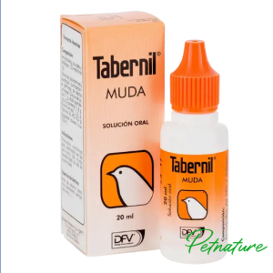 Tabernil Muda