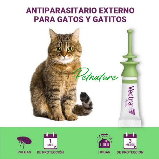 Vectra Felis - Imagen 2