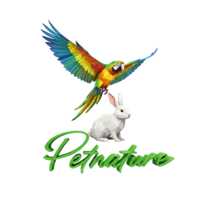 Salud Pequeños Animales y Aves